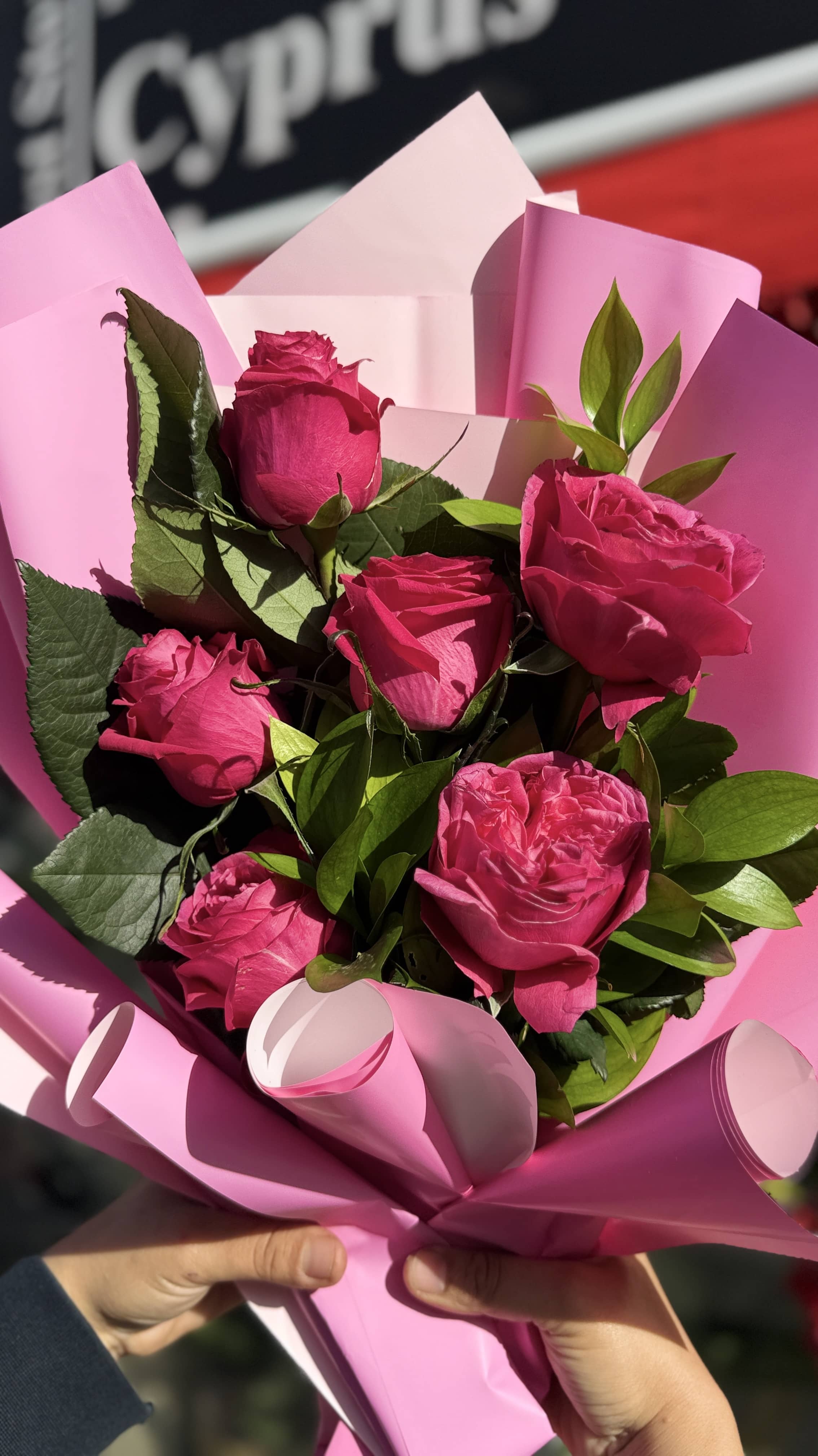 Dev Gül Serisi Pembe