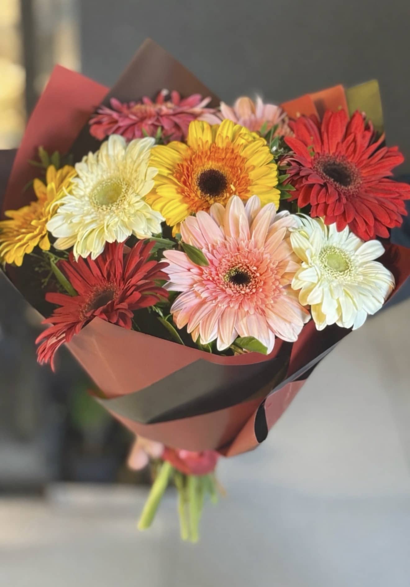 Gerbera Aşkı