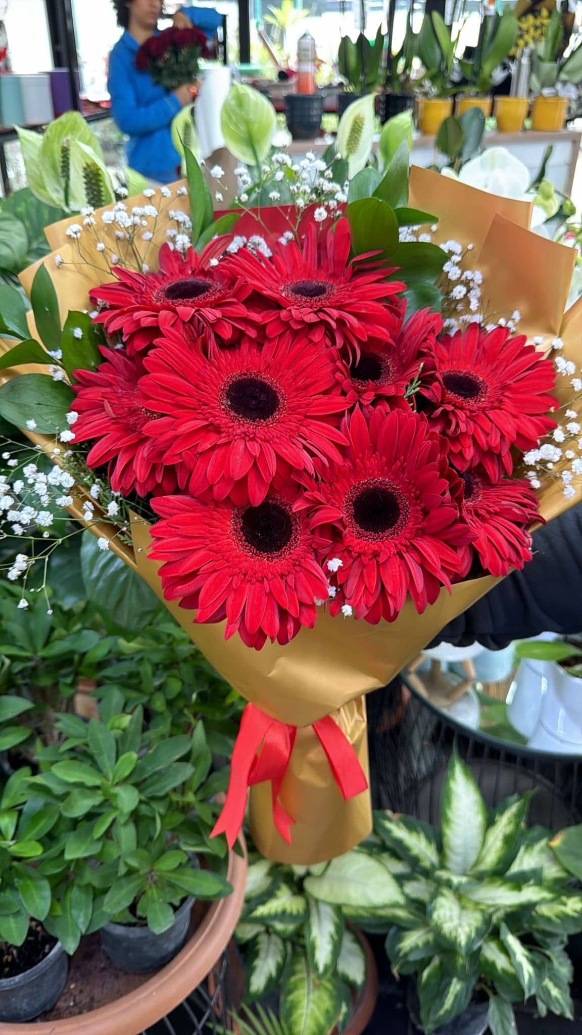 Kırmızı Gerbera Buketi