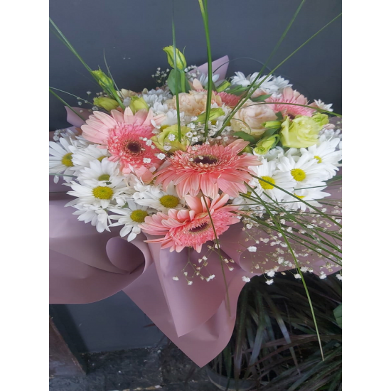 Krizantem ve Papatya Aşkı