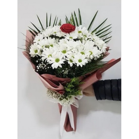 Beyaz Papatyalar İçinde Tek Gül