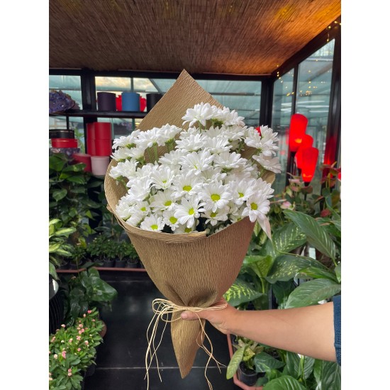 Graf Kağıtta Beyaz Papatya