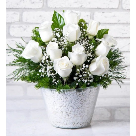 Paşabahçe Vazoda Sevgi Bahçesi