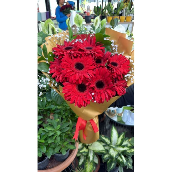 Kırmızı Gerbera Buketi 