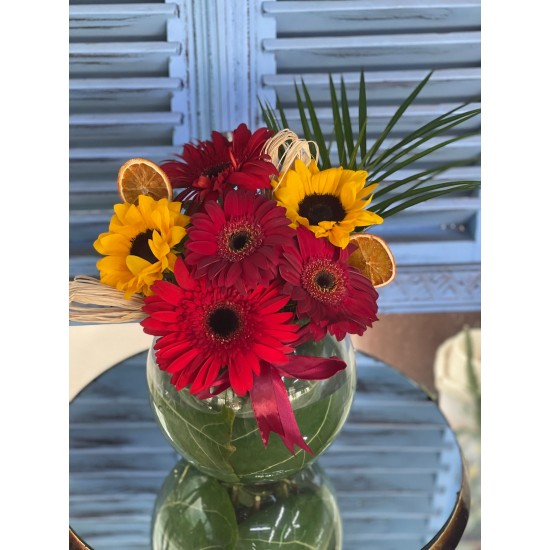 Güneşin Kırmızı Dansı 