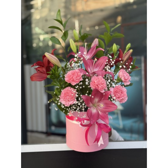 Lilium Royale 