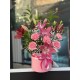 Lilium Royale 