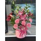Lilium Royale 