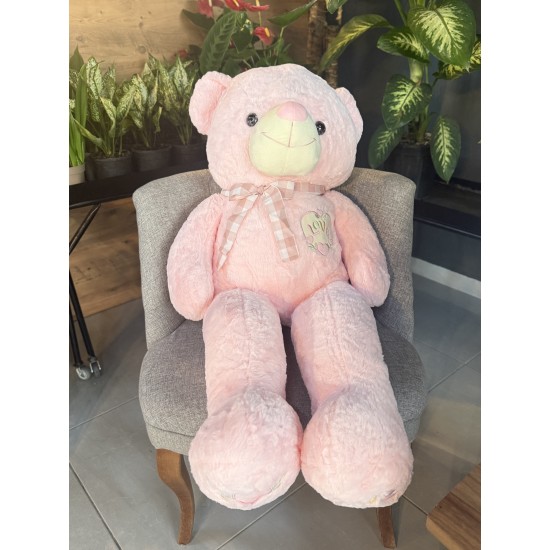 Teddy Beat love Heart Cushion 82cm 