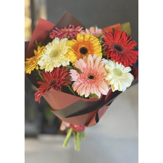 Gerbera Aşkı