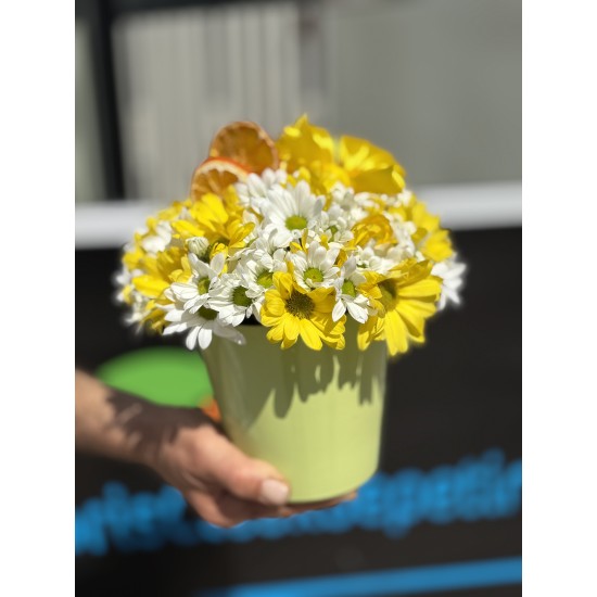 Yeşil Saksıda Bahar Neşesi 