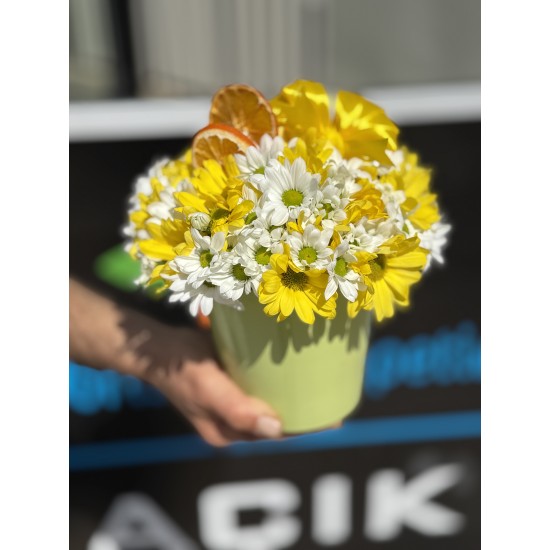 Yeşil Saksıda Bahar Neşesi 