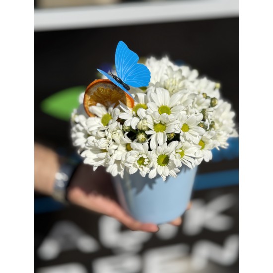 Mavi Saksıda Bahar Neşesi 