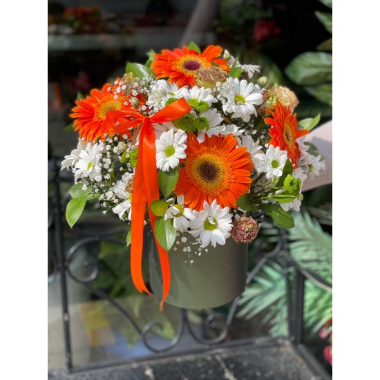 Canlı Duygular Aranjmanı