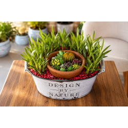 Sukulent ve Mum Aranjmanı 2 