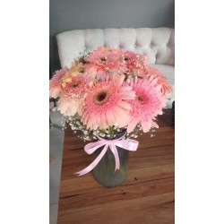Aşkın Pembesi Vazoda Gerberalar