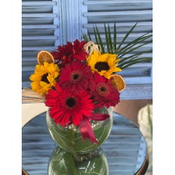 Güneşin Kırmızı Dansı 