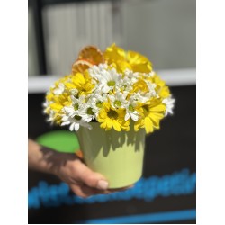 Yeşil Saksıda Bahar Neşesi 