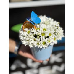 Mavi Saksıda Bahar Neşesi 