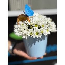 Mavi Saksıda Bahar Neşesi 