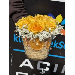 Güneş Işığı Gülleri 