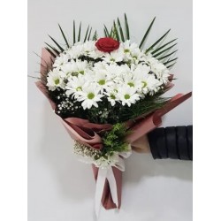 Beyaz Papatyalar İçinde Tek Gül