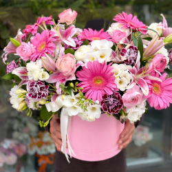 Aşkın Pembe İhtişamı 