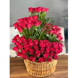 Kızıl Kraliçe 