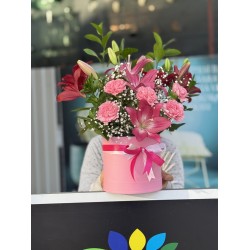 Lilium Royale 