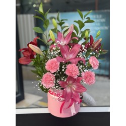 Lilium Royale 