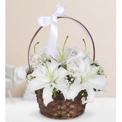 Beyaz Lilyum Sepeti
