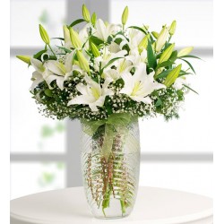 Sadeliğin Işıltısı